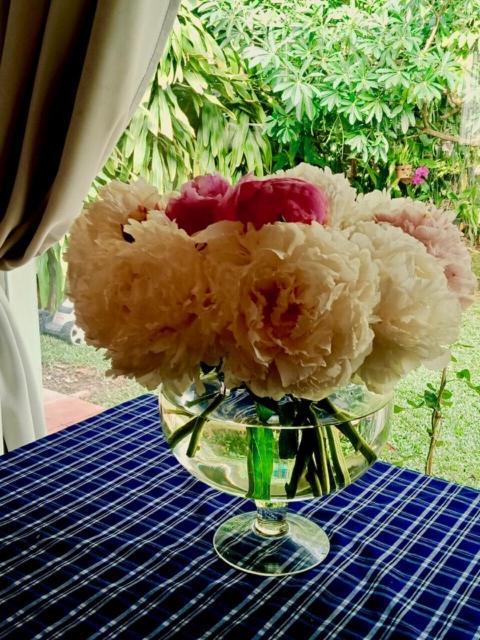 Bamboo Garden Resort Phu Quoc Dış mekan fotoğraf